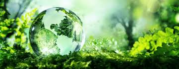 How can I contribute to a more sustainable planet?