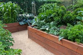 🌱 Small Space Gardening with Cedar Planters in Spring