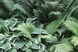 10 tips for successful planter growth