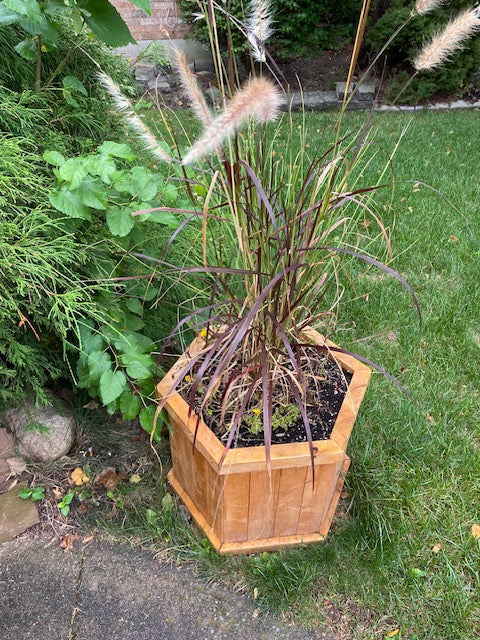 Jardinera de cedro (Hexagonal)
