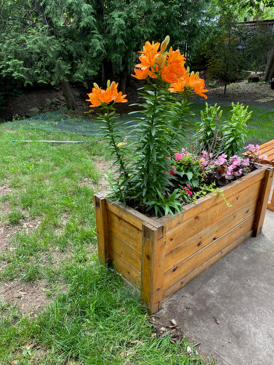 Cedar Planter 48" x 24" (L x W)