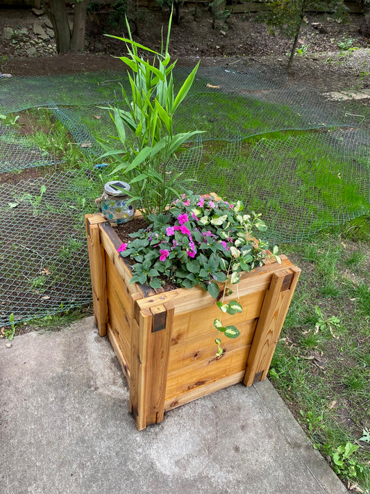 Cedar Planter 24" x 24 (L x W)