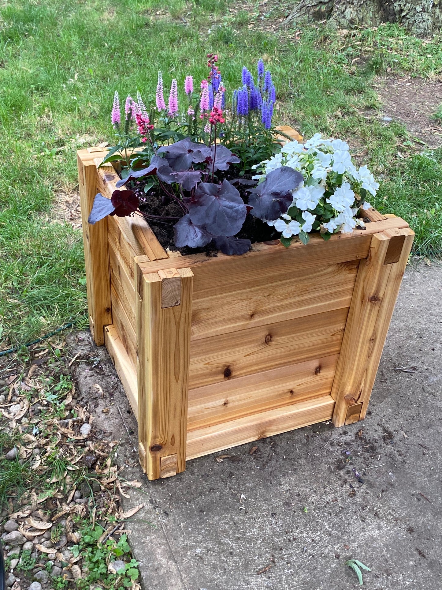 24" x 24" Cedar Planter Box | Handmade Western Red Cedar Raised Garden Planter (L x W)