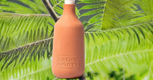 Olla clay pot 700ml